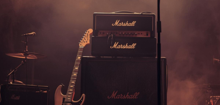 Guide de survie du guitariste